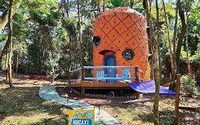 Casa Abacaxi, Vila Mágica